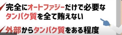 老化も鬱も肉が解決する！とにかく肉を食いまくれ！